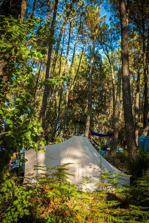 Camping La Sousta**** Remoulins Bagian luar foto